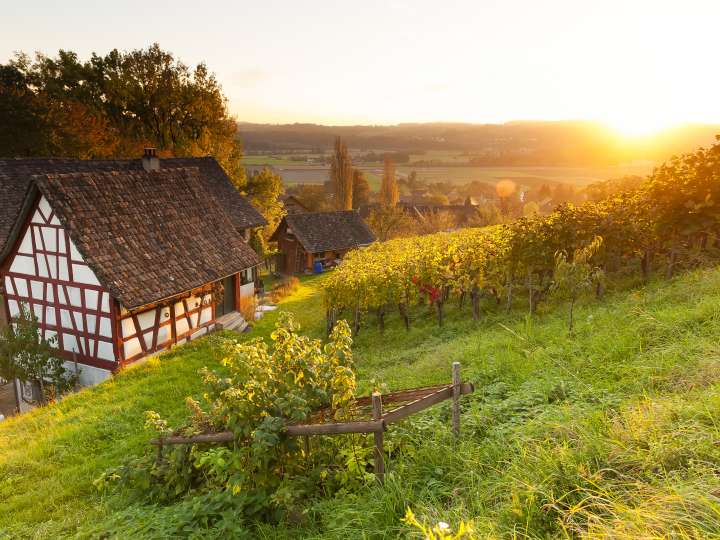 Michael Broger Weinbau