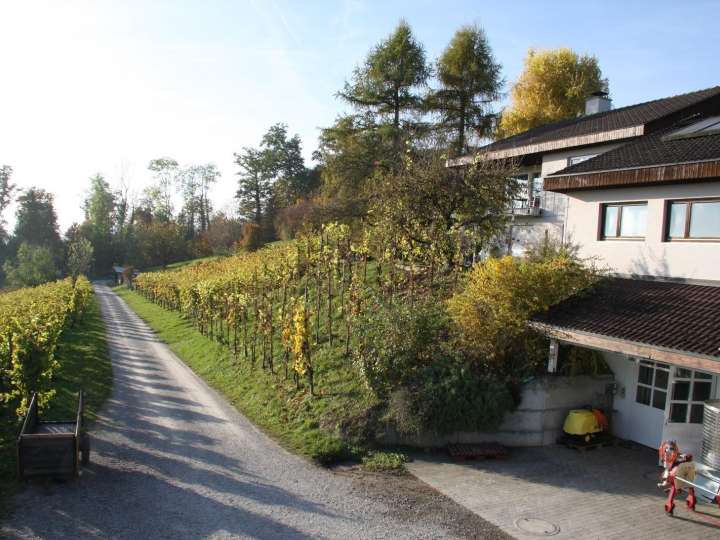 Weingut Wolfer