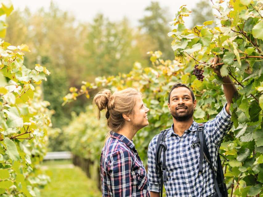 Thurgauer Tourismuspreis - jetzt abstimmen!
