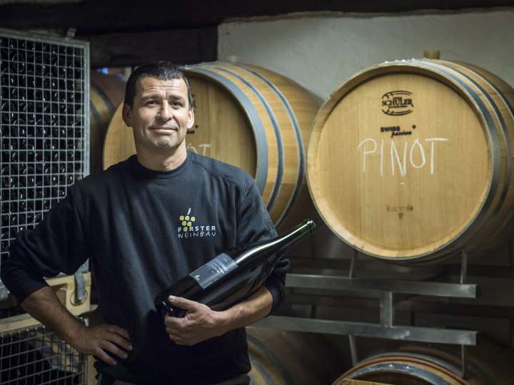 Forster Weinbau